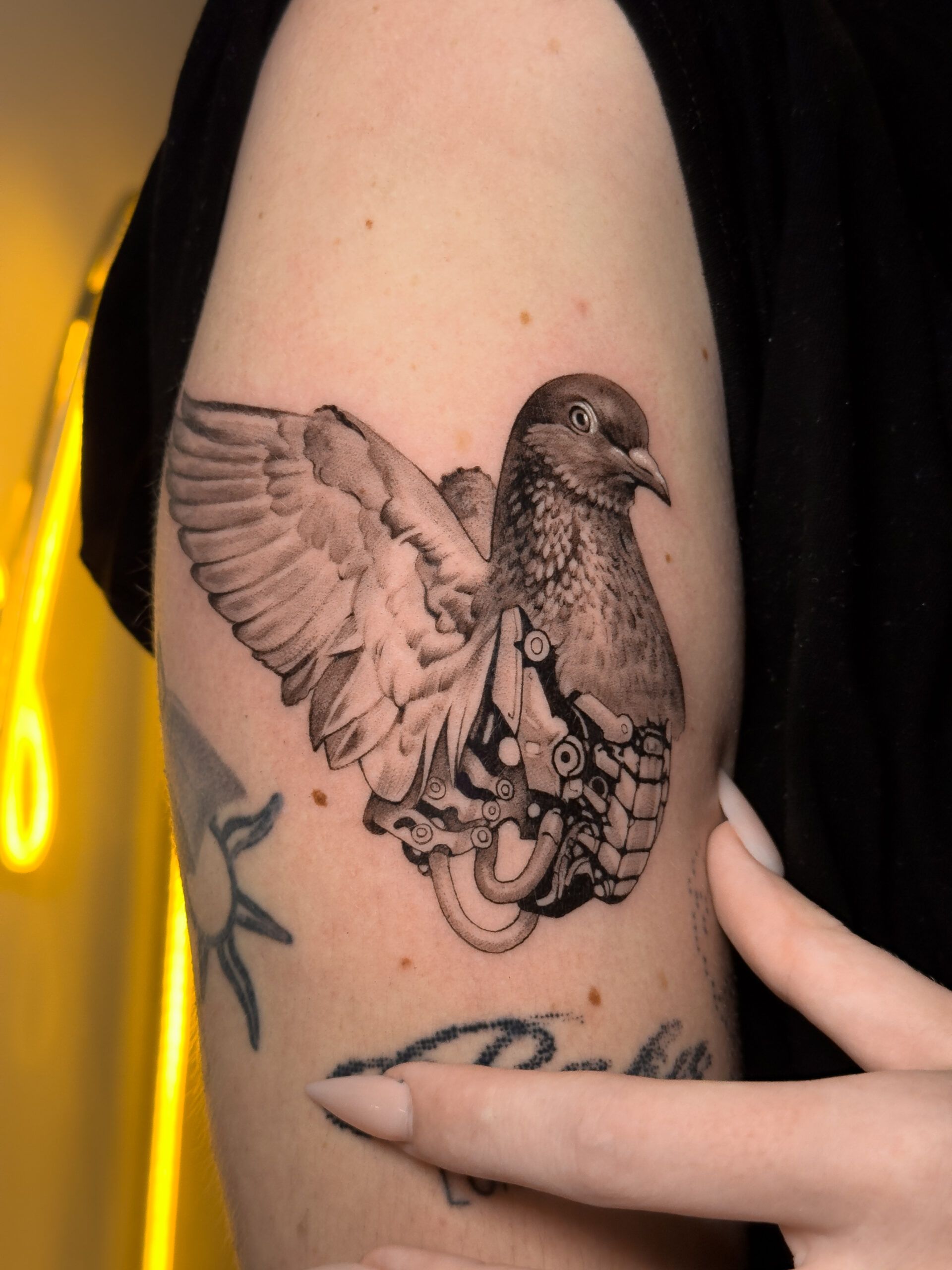 Realistic black and grey dove in flight tattooed on the upper arm